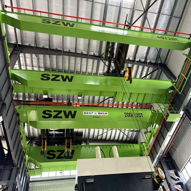 The Hook Bridge Crane (Overhead Crane With Hook)
