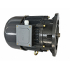 Heavy Duty Crane Motor for Overhead and Gantry Crane
