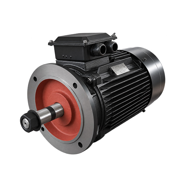 Heavy Duty Crane Motor for Overhead and Gantry Crane
